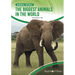The Biggest Animals in the World