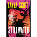 Stillwater: A Thriller