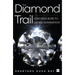 The Diamond Trail: How India Rose to Global Domination