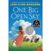 One Big Open Sky