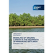 Modeling of Organic Carbon in the Sediments of Mangrove Wetlands