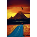 The Long Journey Home