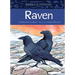 Animals Illustrated: Raven