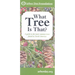 What Tree Is That?: A Guide to the More Common Trees Found in North America