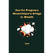 Gas for Progress: Mozambique's Bridge to Wealth
