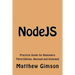 NodeJS: Practical Guide for Beginners