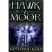 Hawk & Moor: Book 1 - The Dragon Rises