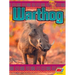 Warthog