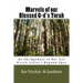 Marvels of our Blessed G-d's Torah: An Abridgement of Rav Tzvi Hirsch Schlez's Magnum Opus