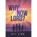 Why Now Lord?: God in Action