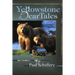 Yellowstone Bear Tales