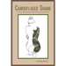 Camouflaged Shame: A Path to Redemption After Military Sexual Trauma