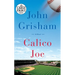Calico Joe