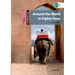 Dominoes: Around the World in Eighty Days: Starter Level: 250-Word Vocabulary