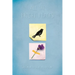 All the Bright Places Collector's Edition