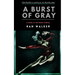 A Burst of Gray: A Novel in 100-Word Stories