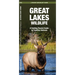 Great Lakes Wildlife: A Folding Pocket Guide to Familiar Animals