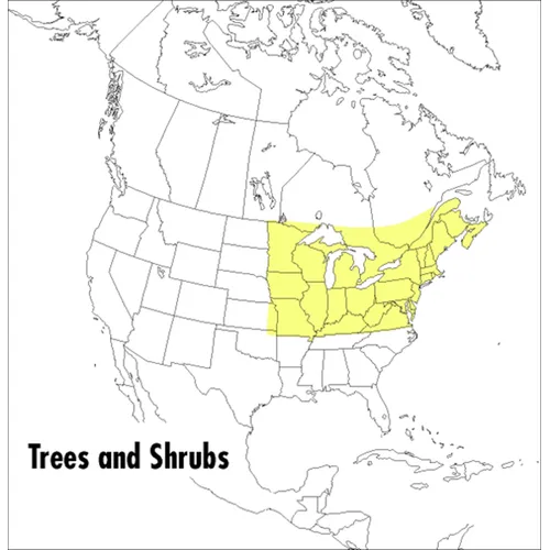 A Field Guide to Trees and Shrubs: Northeastern and North-Central United States and Southeastern and South-Central Canada