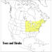 A Field Guide to Trees and Shrubs: Northeastern and North-Central United States and Southeastern and South-Central Canada