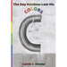 The Day Rainbow Lost His Colors