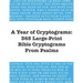 A Year of Cryptograms: 365 Large-Print Bible Cryptograms From Psalms
