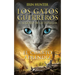 El Cuarto Aprendiz / The Fourth Apprentice