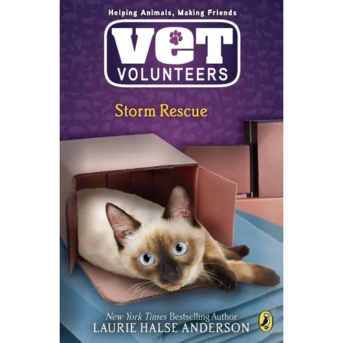 Storm Rescue