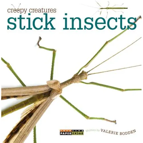 Stick Insects