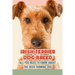 Irish Terrier Dog Breed: All You Need to Know about The Irish Farming Dog: Facts about The Rollicking Terriers of Ireland