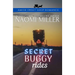 Secret Buggy Rides