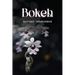 Bokeh