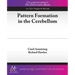 Pattern Formation in the Cerebellum