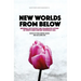 New Worlds from Below: Informal life politics and grassroots action in twenty-first-century Northeast Asia