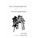 How to Grasp the Bird's Tail If You Don't Speak Chinese