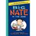 Big Nate: In the Zone