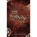 Diary of a Deity - The Burning