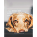 101 Ways To Help Your Heart Heal After Pet Loss