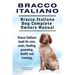 Bracco Italiano. Bracco Italiano Dog Complete Owners Manual. Bracco Italiano book for care, costs, feeding, grooming, health and training.