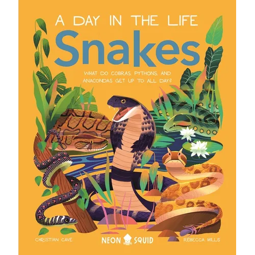 Snakes (a Day in the Life): What Do Cobras, Pythons, and Anacondas Get Up to All Day?