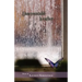Unaccountable Weather