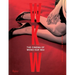 WKW: The Cinema of Wong Kar Wai