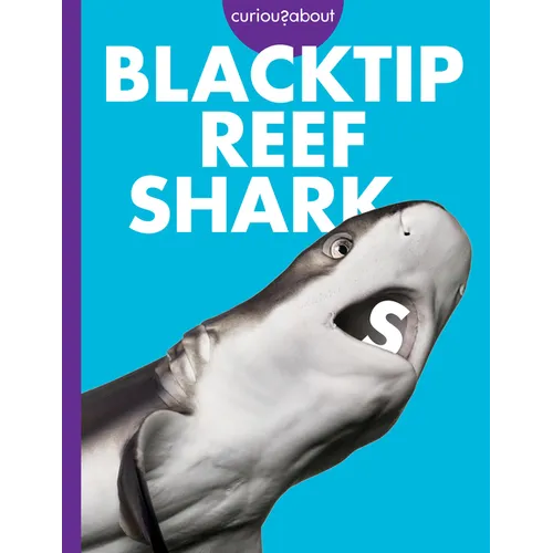 Curious about Blacktip Reef Sharks