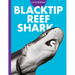 Curious about Blacktip Reef Sharks