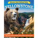 Discover Great National Parks: Yellowstone: Kids' Guide to History, Wildlife, Geysers, Hiking, and Preservation