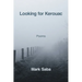 Looking for Kerouac