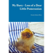 My Huey - Loss of a Dear Little Pomeranian