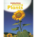 Amazing Plants