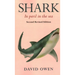 Shark: In peril in the sea