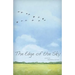 The Edge of the Sky