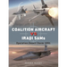 Coalition Aircraft Vs Iraqi Sams: Operation Desert Storm 1991